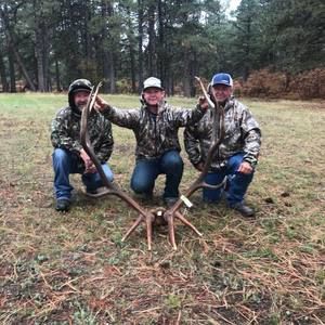 Meet your Posher, Denton